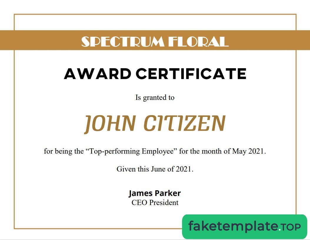 Feature of fake USA Award Certificate